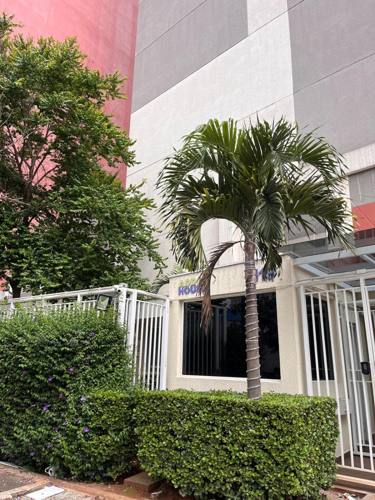 Super Moderno No Bras Apartamento